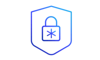 Icon ssl wildcard 600x360